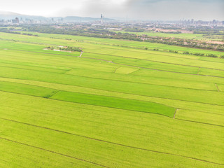 Landscape View of Guandu Plain, Taipei, Taiwan