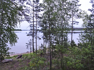 summer landscape: a summer lake before dawn