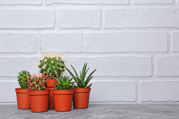 Set of small cacti in red flower pots with copy space