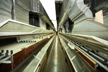 Obraz premium Manufacture of a natural shell for sausage. Collagen shell for sausages. Collagen casings industry for sausage products. Film for sausages. Large-scale production.