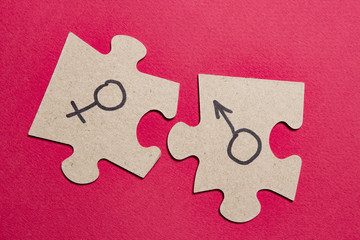 Gender signs of man and woman on puzzles. Sexual concept with the sex characteristics of men and women.