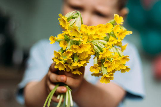 Blur. The Boy Is Holding Yellow Field Flowers. Gives Them - Showing In The Camera. A Gift To Mom. To Give A Bouquet. Gift - Blurry Bouquet Of Flowers