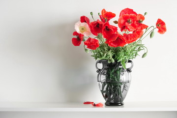 Beautiful flowers in a glass vase on a white wall background. Bouquet of wild red poppies. Space for your text. 