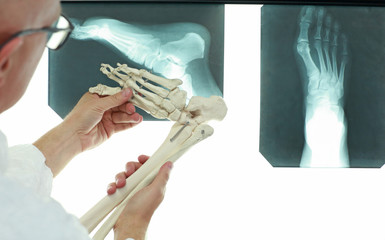 professional with lower limb model browsing foot bones