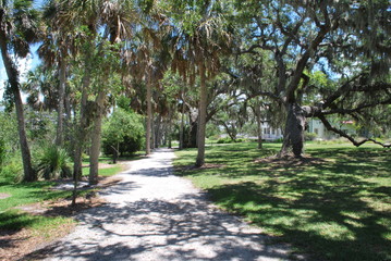 Forest and woods scenics