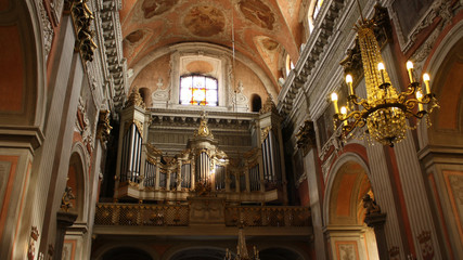 Fototapeta na wymiar Iglesia de Santa Teresa en Vilnius , Lituania