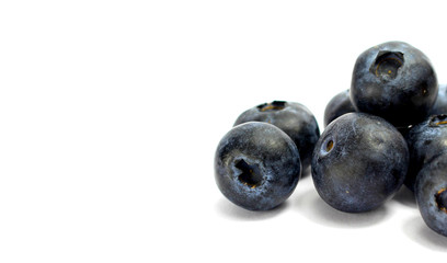 blueberries isolated