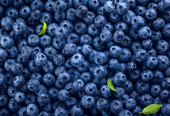  Fresh blueberry - obrazy, fototapety, plakaty