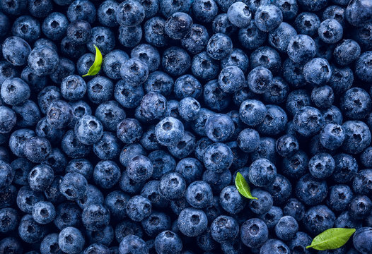 Fototapeta  Fresh blueberry