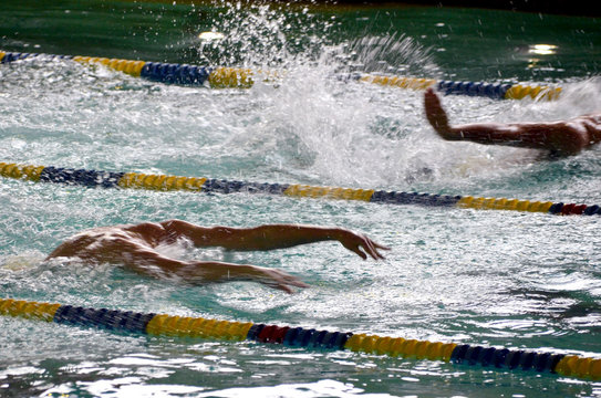 Swimmer 