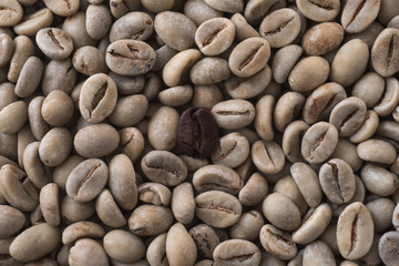 fresh coffee beans