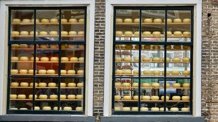 Niederländischer Käse im Fenster ausgestellt, Gouda, Holländer