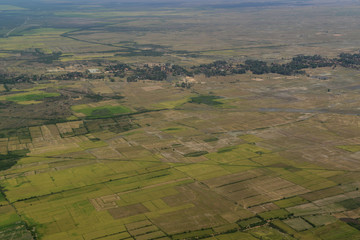 CAMBODIA SIEM REAP LANDSCAPE RICEFIELD