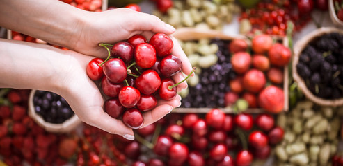 fresh cherry in the hands of a girl