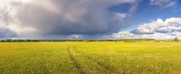 панорама сельского поля летом с желтыми цветами и дорогой, Россия