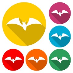 Bat Silhouette icon, color icon with long shadow