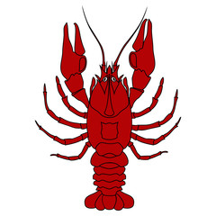 Crayfish (red)