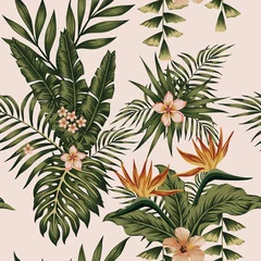 Exotic composition flowers and plants