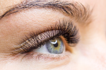Beauty and fashion concept - Eyelash Extension Procedure. Woman Eye with Long false Eyelashes. Close up macro shot