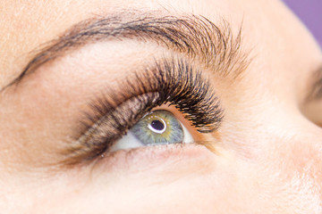 Beauty and fashion concept - Eyelash Extension Procedure. Woman Eye with Long false Eyelashes.