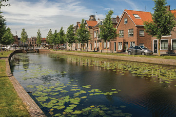 Canal with aquatic plants, brick houses and bridge on a sunny day in Weesp. Quiet and pleasant village full of canals and green near Amsterdam. Northern Netherlands.