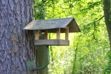 Tree House Wooden Small Handmade Birdfeeder at the Forest. Tree House and Bird Feeder Isolated on Summer Green Trees Background Close Up View. Empty Birdhouse Made from Wood Outdoors at the Park.