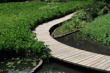 池の中の散策路