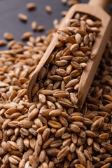 spelt seeds on a dark stone background