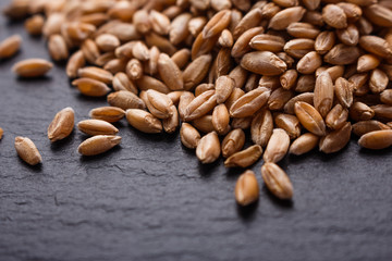spelt seeds on a dark stone background