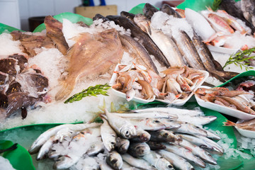fish on fish market