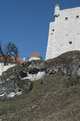 on the Jurassic trail -Piaskowa Skała © amadeusz