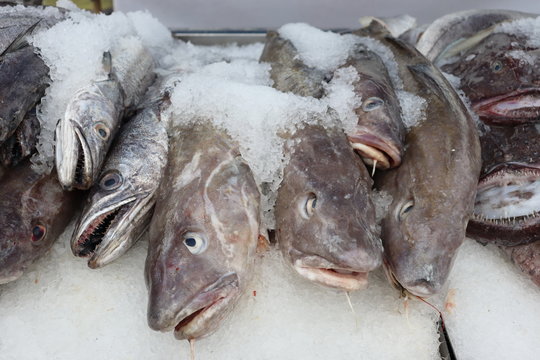 Irlande - Poissons sur un march&eacute;