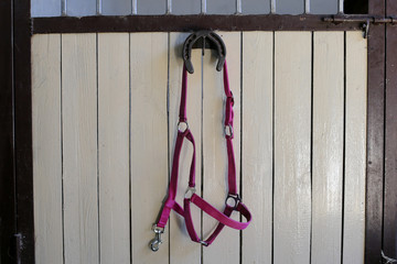 The bridle hangs on the wall of the horse's paddock.
