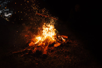 fire in nature . Bonfire in the forest