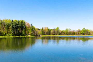 Beautiful lake with forest reflection on sunny spring day.