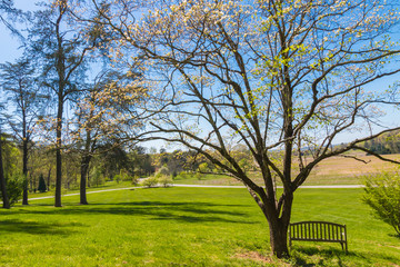 Spring season in park.
