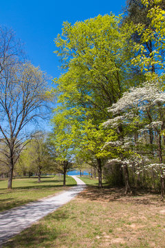 Walking path in spring park. Natural landscape.