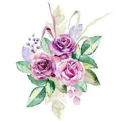 watercolor bouquet of roses on the white background