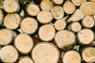 A pile of cut tree trunks giving a nice view of the concentric year rings.Pile of wood logs storage