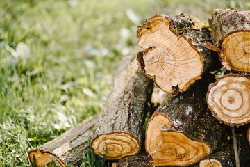 A pile of cut tree trunks giving a nice view of the concentric year rings.Pile of wood logs storage