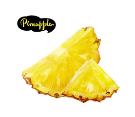 pineapple watercolor illustration