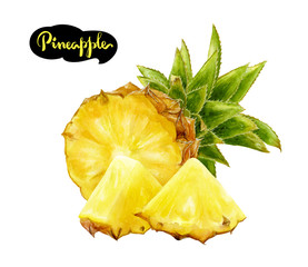 pineapple watercolor illustration