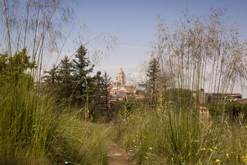 Photograph of monumental Segovia. Cathedral, aqueduct and historical center. Trees and plants in the spring season. Segovia, Castilla y Leon. Spain, Europe.
