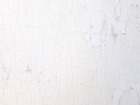 Shabby Old Flaky Plaster Wall Background. White Damaged Crackled Paint. Weathered Worn Out Surface. Copyspace Concept