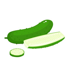 Bright vector collection of colorful different cucumber isolated on white