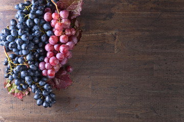 Grapes bunch with leaves.