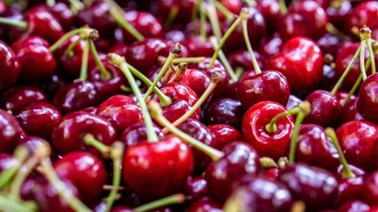 Summer Cherries