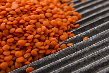 raw lentils on a wooden rustic background