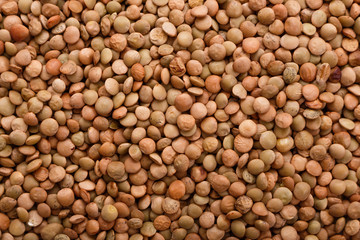 raw lentils on a white acrylic background