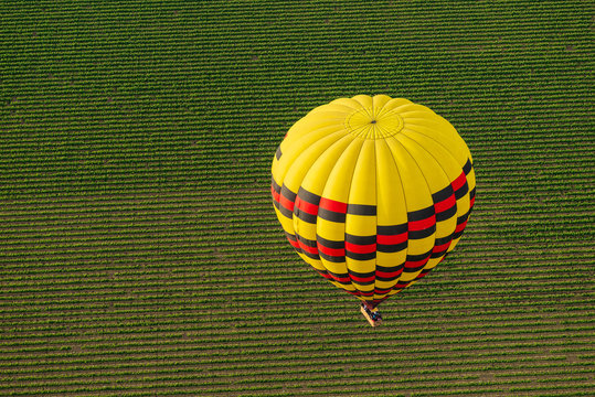 Hot Air Balloon Drifts Over Napa Valley Vineyards